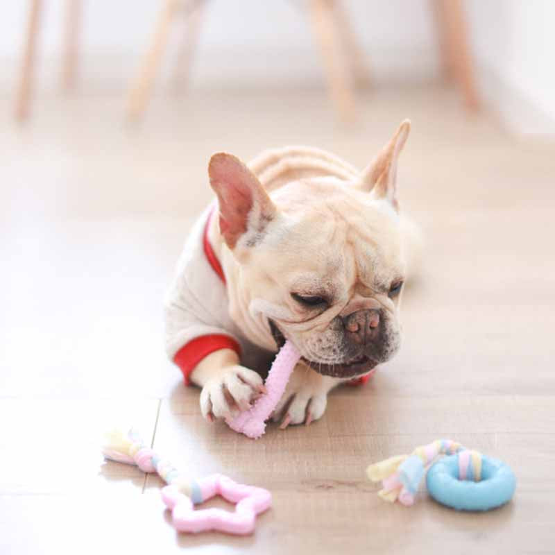 Cartoon Donut Dog Chewing Toy - Frenchiely