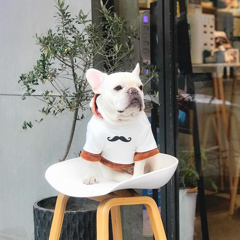 Cartoon Bear Dog Hoodie Costume for Bulldogs-2 Pieces - Frenchiely