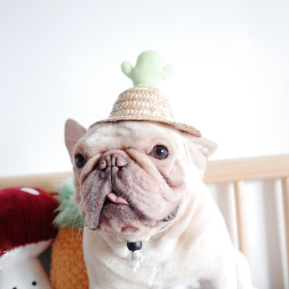 Dog Spinning Straw Hat with Drawcord for French Bulldog - Frenchiely