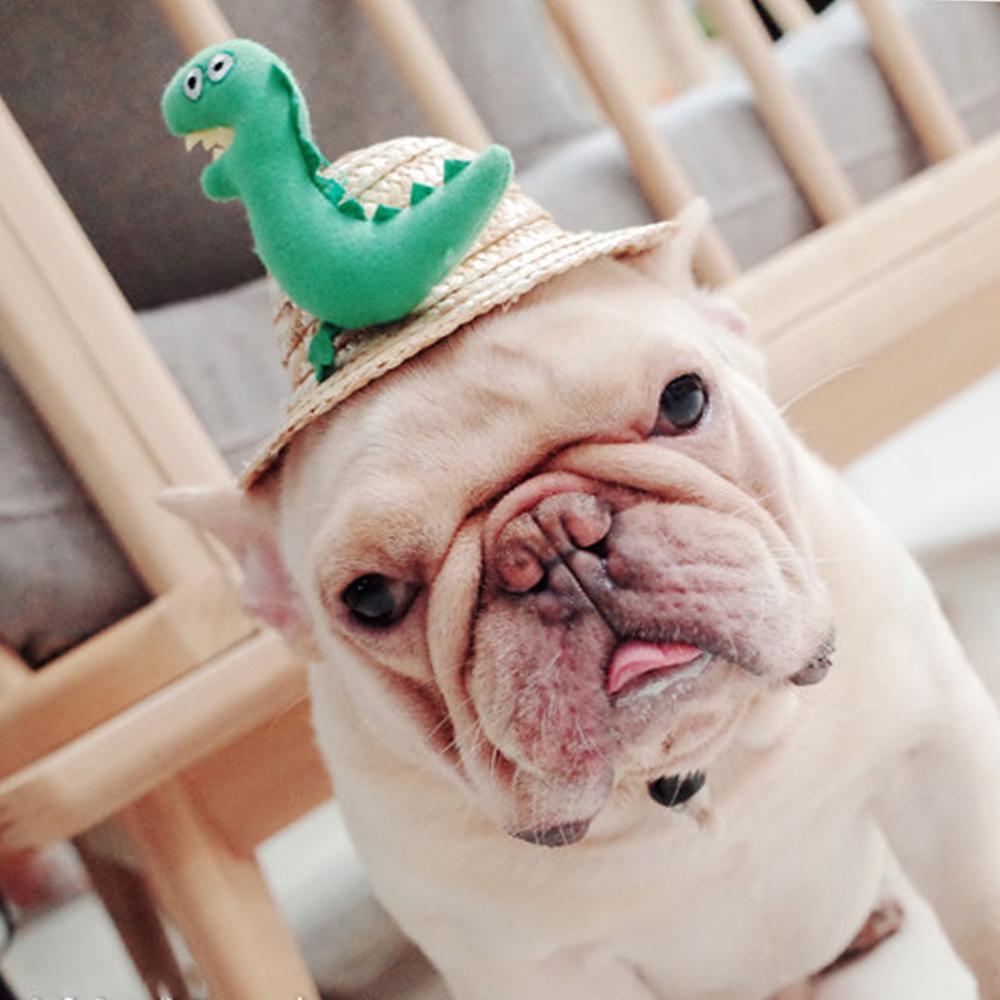 Dog Spinning Straw Hat with Drawcord for French Bulldog - Frenchiely
