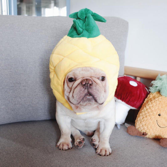 pineapple dog costume - Frenchiely