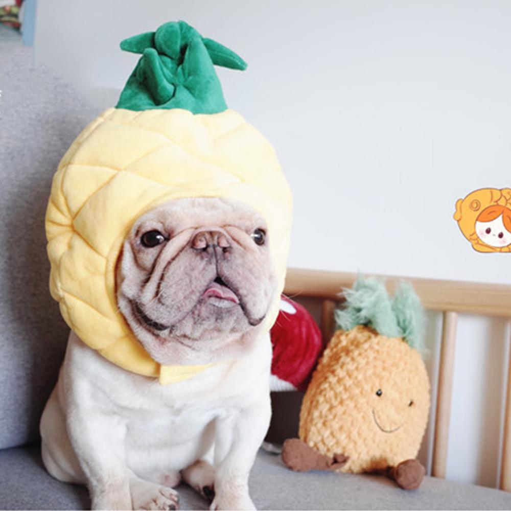 pineapple dog costume - Frenchiely