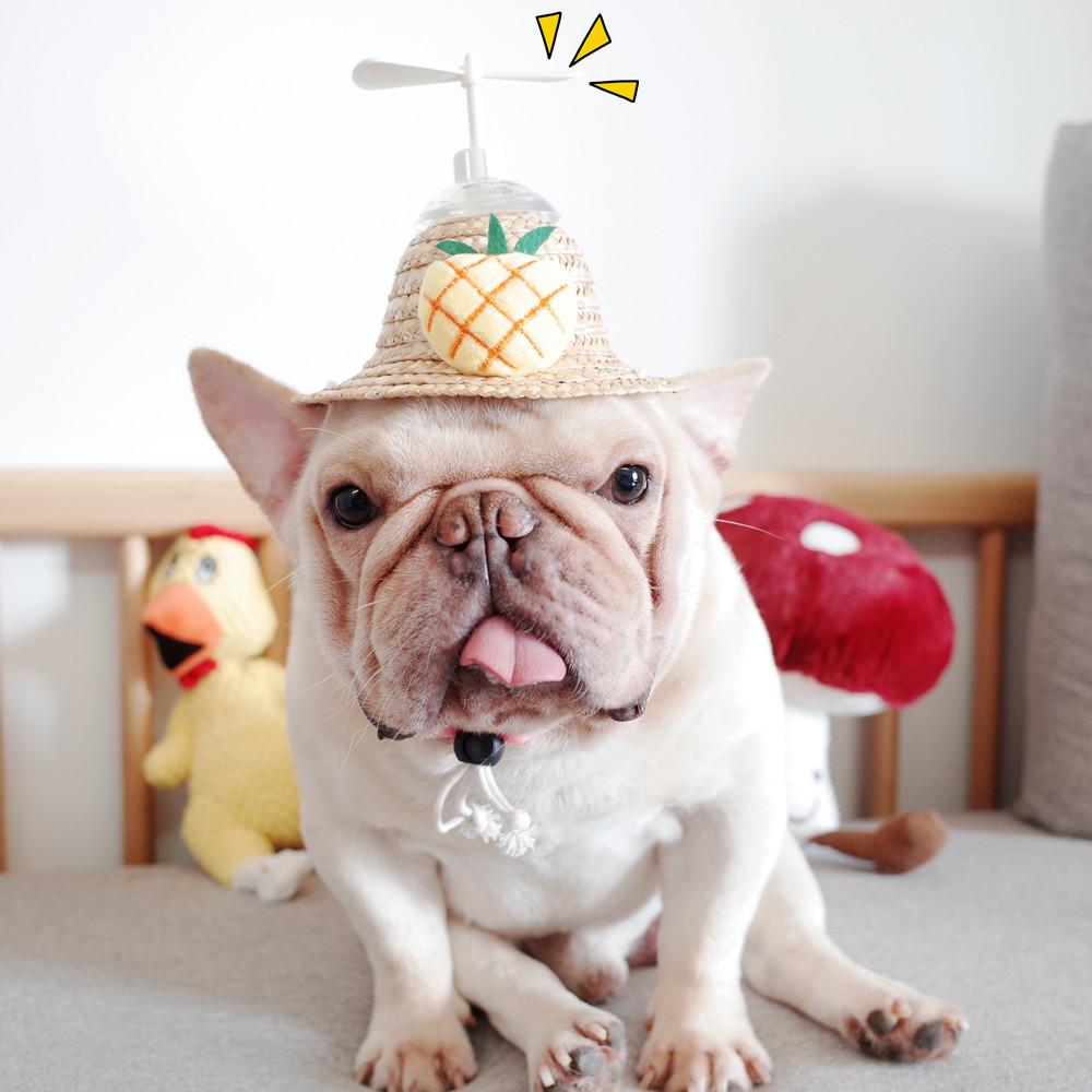 Dog Spinning Straw Hat with Drawcord for French Bulldog - Frenchiely