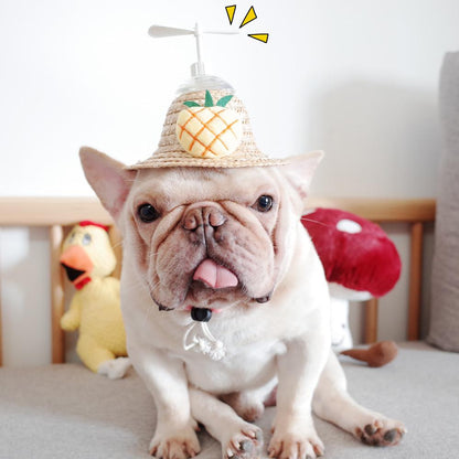 Dog Spinning Straw Hat with Drawcord for French Bulldog - Frenchiely