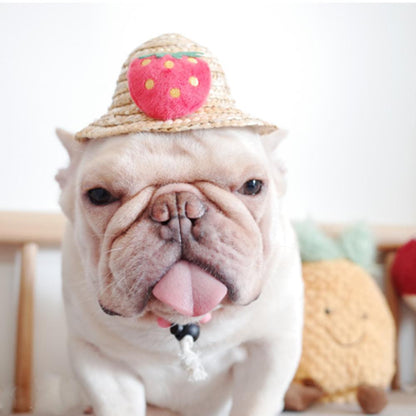 Dog Spinning Straw Hat with Drawcord for French Bulldog - Frenchiely