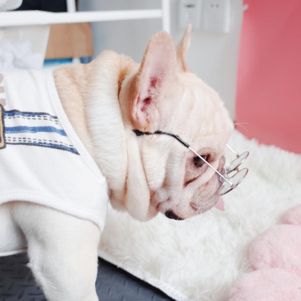 Dog Clear Glasses for French Bulldog - Frenchiely