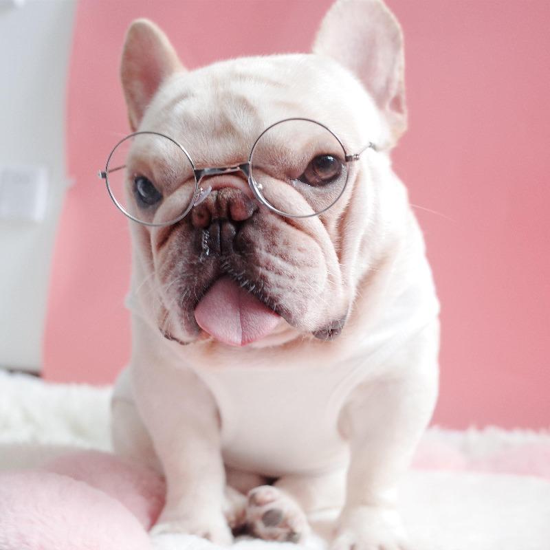 Dog Clear Glasses for French Bulldog - Frenchiely