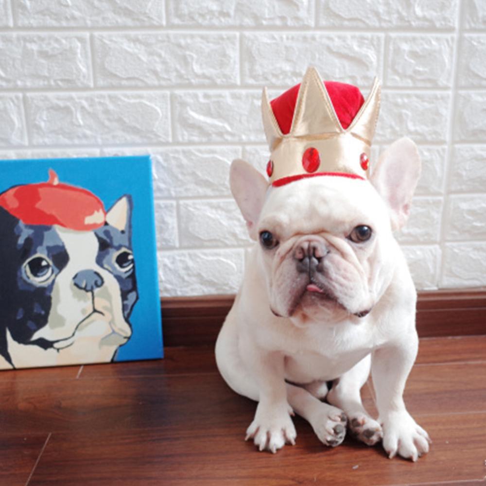 Dog Costume Crown Headwear Hat - Frenchiely