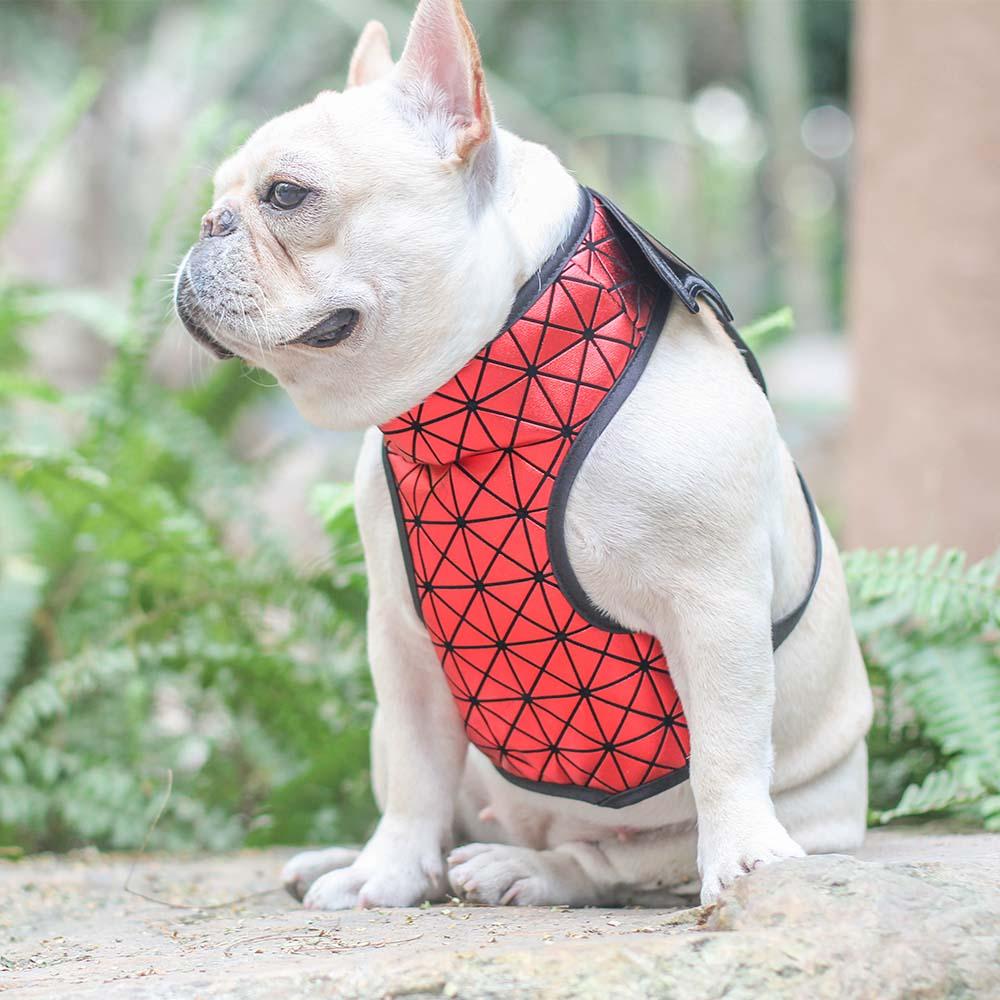 Dog Batman Harness Vest for Small Dogs - Frenchiely