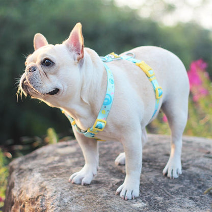 Cute Frenchie Harness Leash Set - Universe - Frenchiely