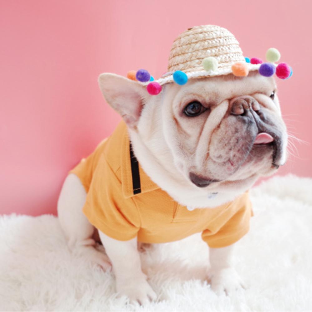 Summer Straw Hat for Frenchies - Frenchiely