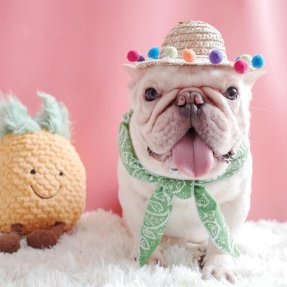 Summer Straw Hat for Frenchies - Frenchiely