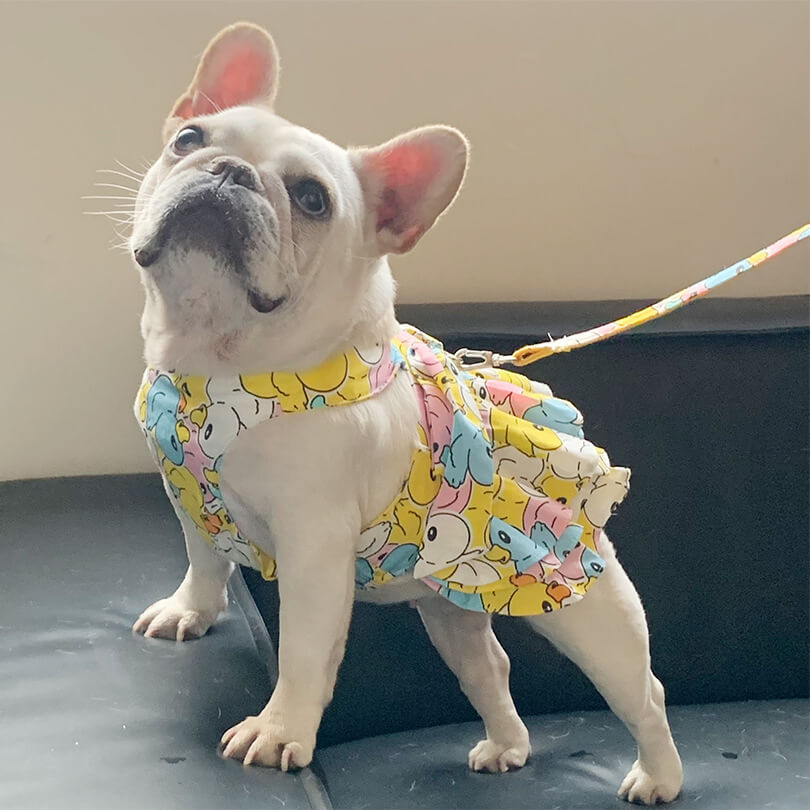 dog cartoon dress with leash for small medium dogs by Frenchiely