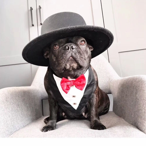 Dog Bandana Wedding Necktie for Medium Dog - Frenchiely
