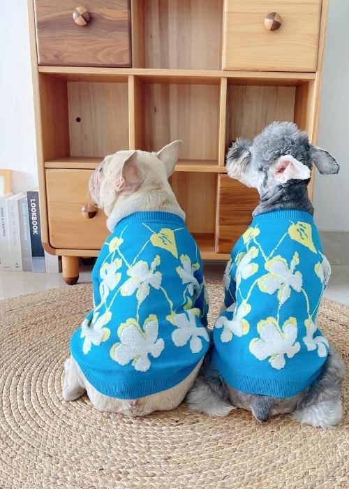 Dog Blue Flower Pullover Sweater for medium dogs by Frenchiely 