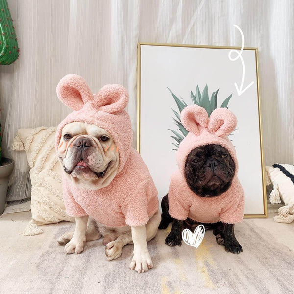 Dog Bunny costume hoodie for small medium dogs by Frenchiely