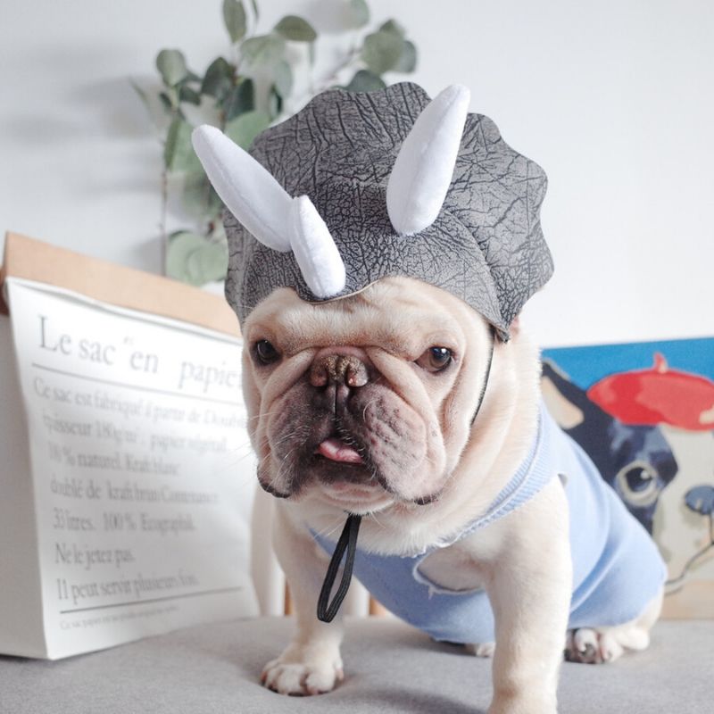 Dog Cartoon Dinosaur Hat for Medium Dogs - Frenchiely
