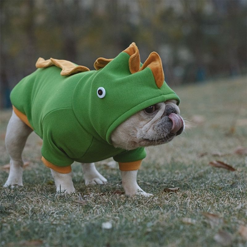 Dog Cartoon Dinosaur Hoody Coat for Medium Dogs