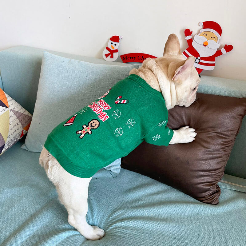 Dog Christmas Gingerman Sweater Outfits by Frenchiely 