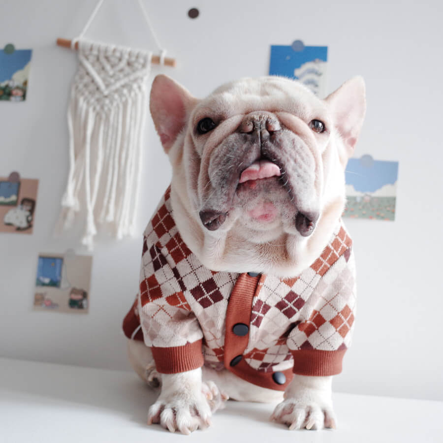 Dog Classic Stretchy Cardigan for Medium Large Dogs by Frenchiely 
