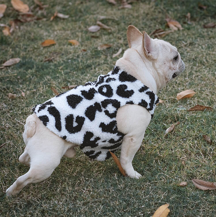 Dog Cow Winter Jacket Coat for French Bulldogs by Frenchiely 0