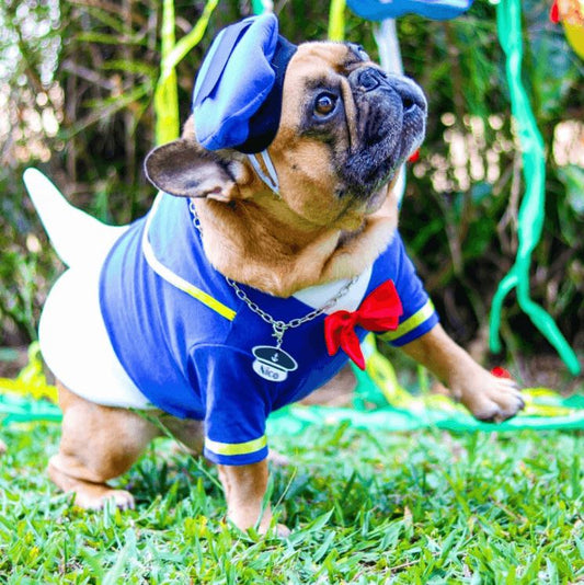 Dog Donald Duck Halloween Costume for Medium Dogs - Frenchiely