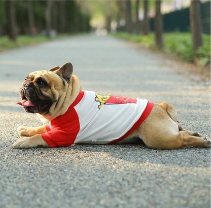 Dog Funny Tee Shirts for Medium Dogs with Fried Chips - Frenchiely