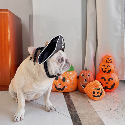Dog Pirate Halloween Costume Hat for French bulldogs 