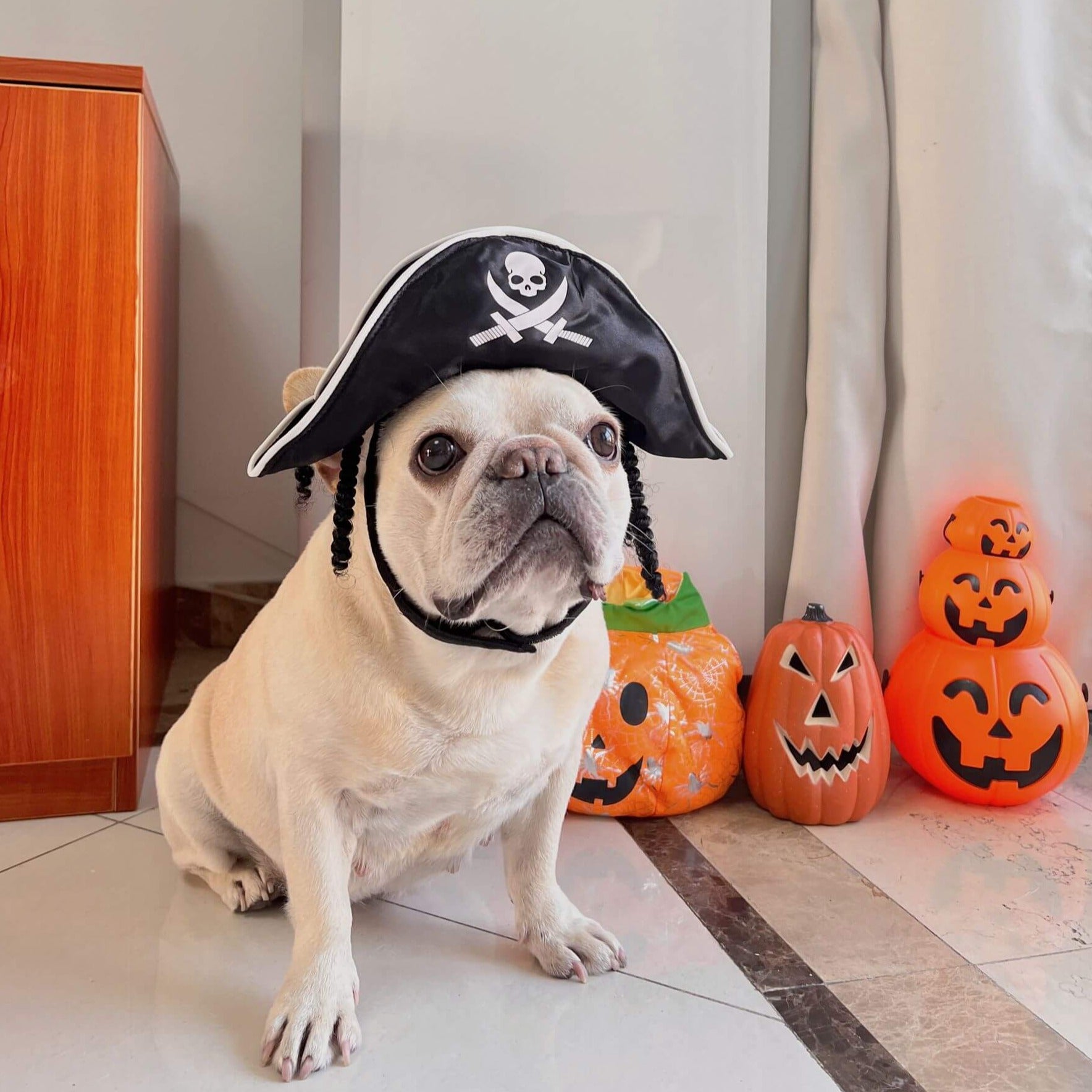 dog pirate costume peg leg for small medium dog breeds