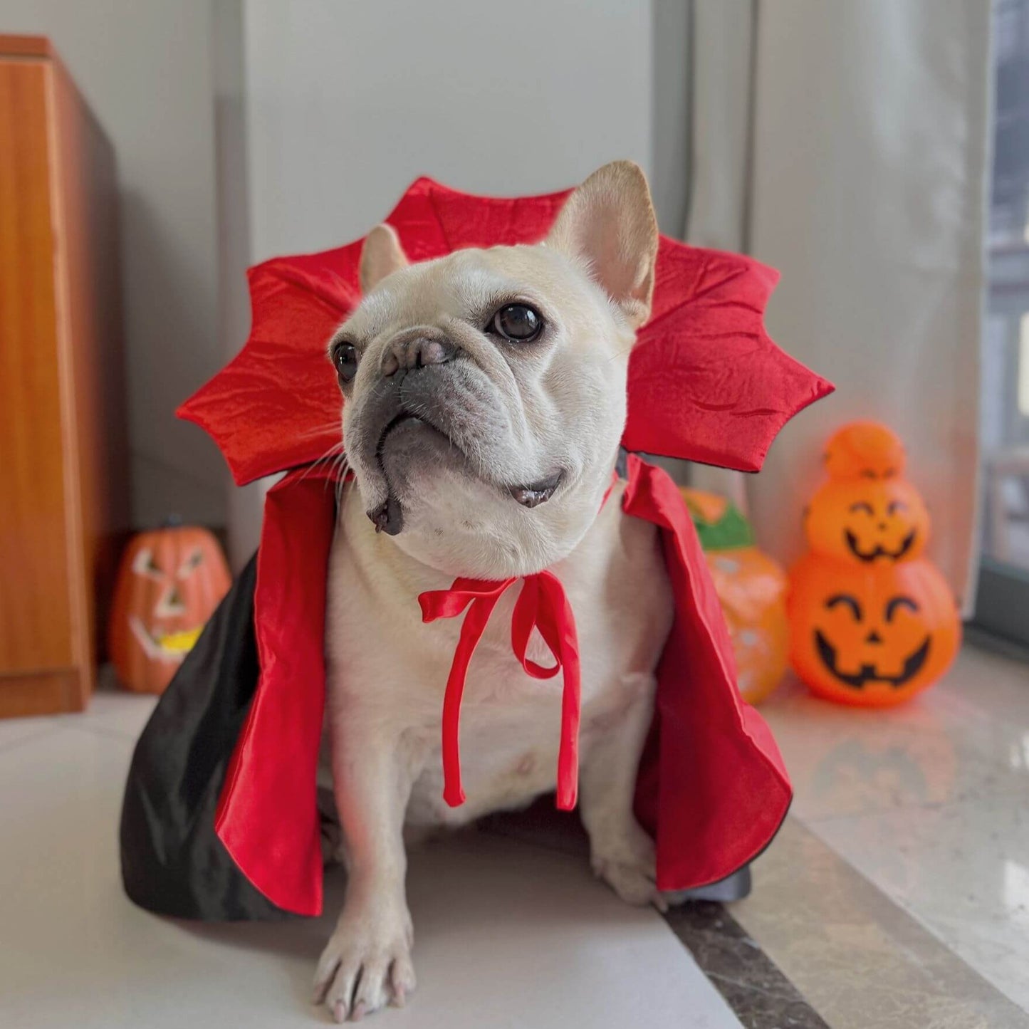 slinky dog halloween costume