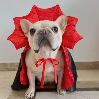 dog vampire cape costume for medium dogs 