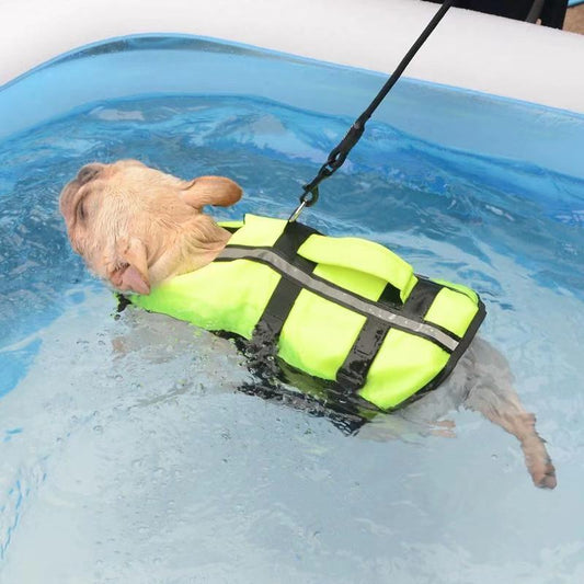 Lifejacket Swim Trunk DogLifeJacketSwimTrunksVest02