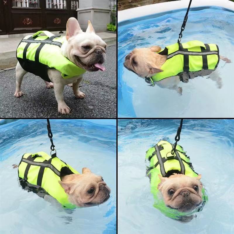 Dog Life Jacket Swim Trunks Vest - Frenchiely
