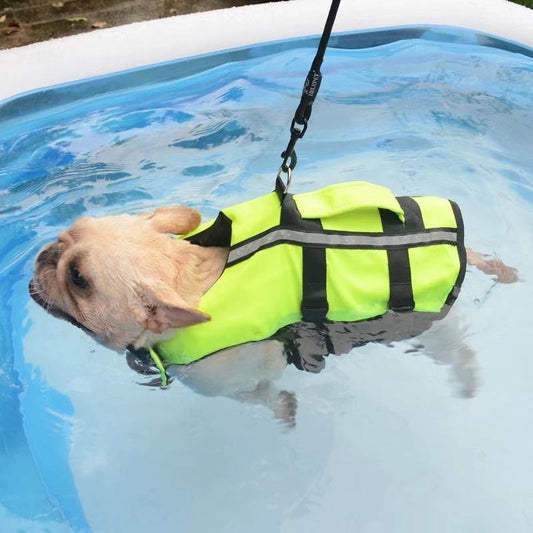 Dog Life Jacket Swim Trunks Vest - Frenchiely