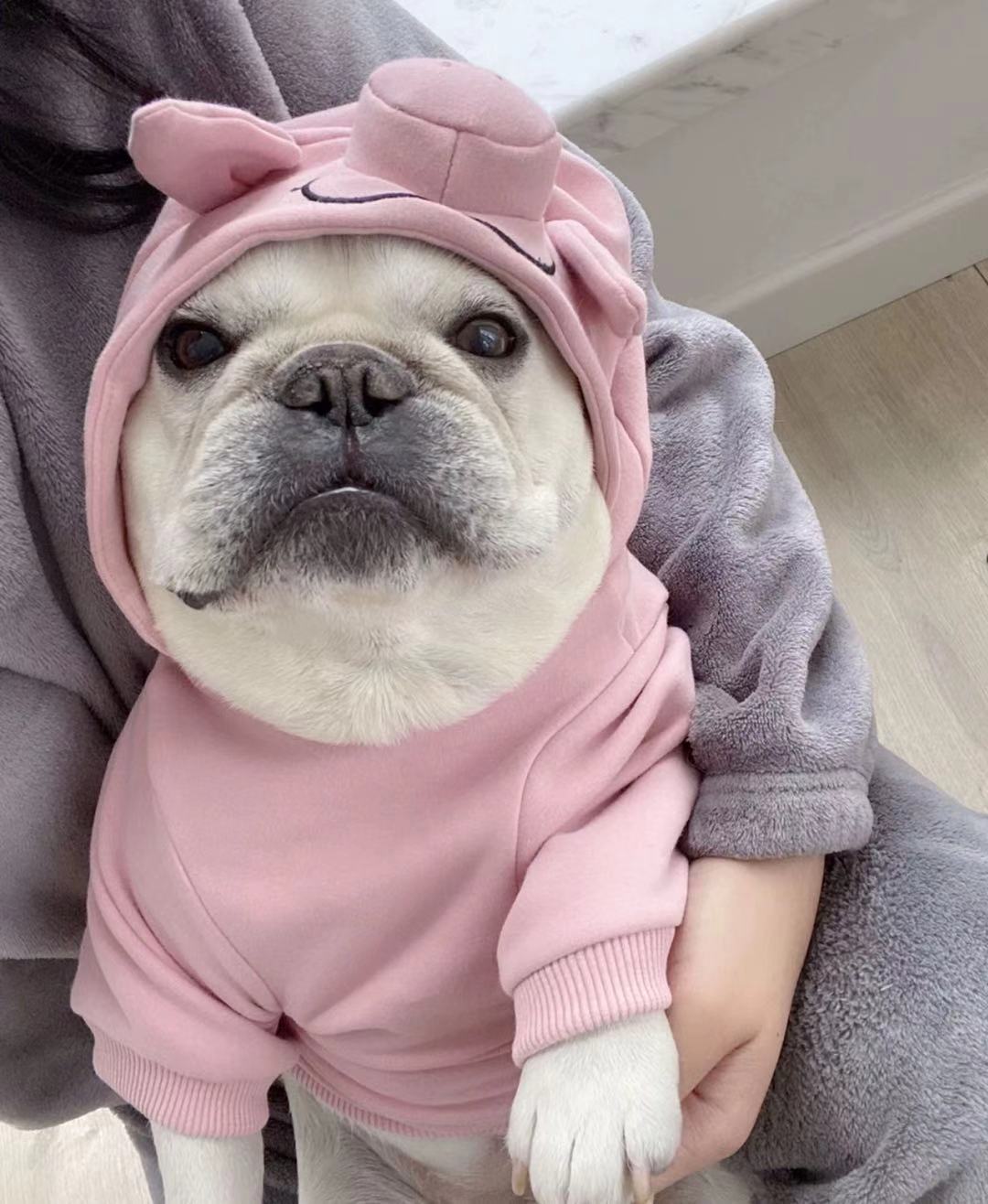 Dog Piggy Costume Pink Hoodie with Tail for Small Dogs