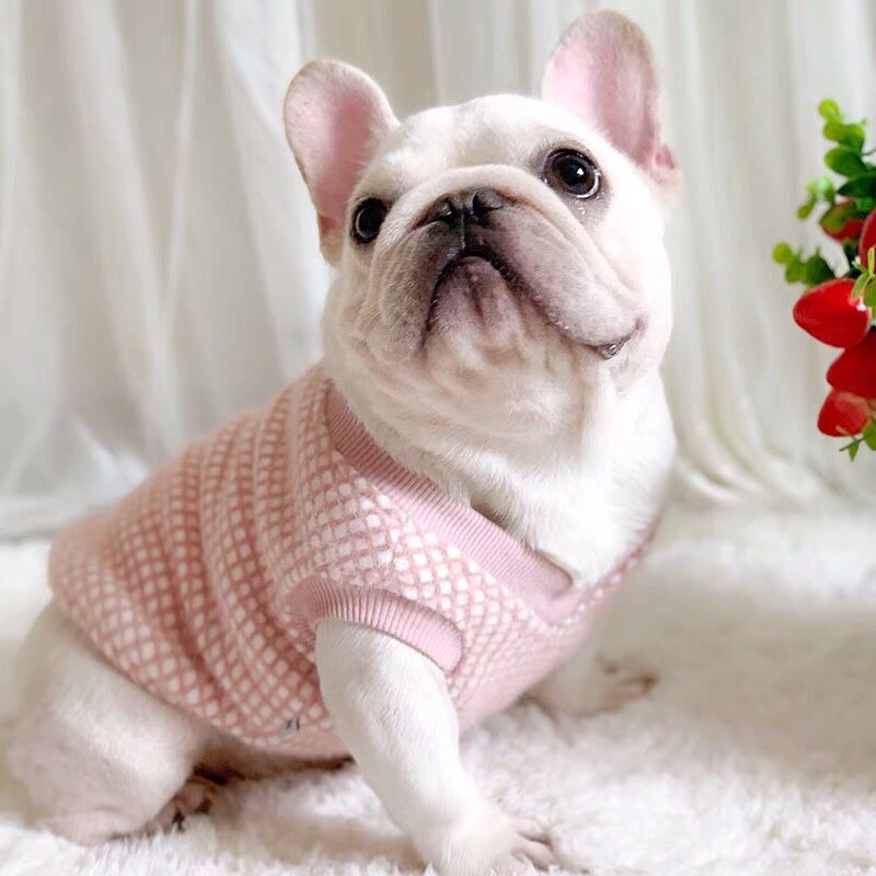 Dog Pink V-neck Winter Sweater for Chunky Bulldogs BY FRENCHIELY 