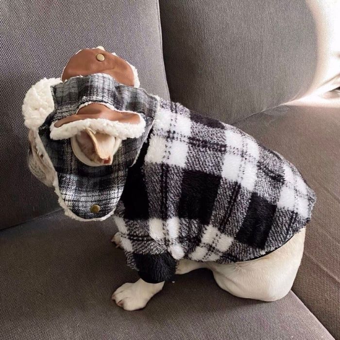 Dog Plaid Pullover Sweater for Bulldogs by Frenchiely 