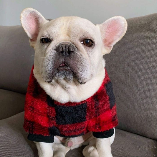 Dog Plaid Pullover Sweater for Bulldogs by Frenchiely 