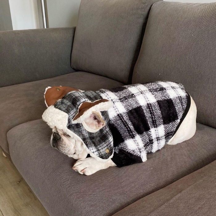 Dog Plaid Pullover Sweater for Bulldogs by Frenchiely 