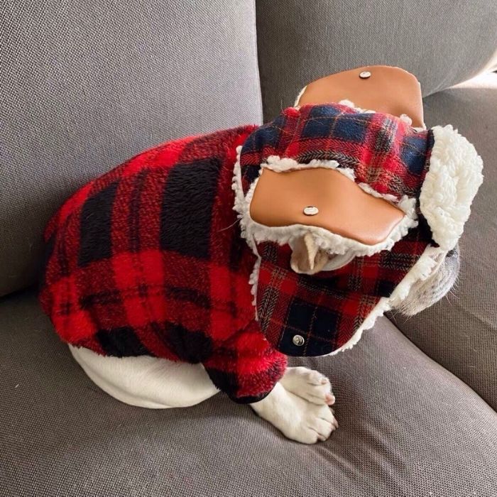 Dog Plaid Pullover Sweater for Bulldogs by Frenchiely 