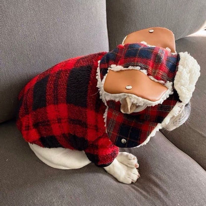 Dog Plaid Pullover Sweater for Bulldogs by Frenchiely 