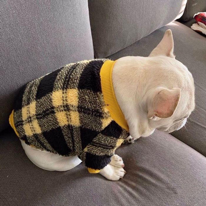Dog Plaid Pullover Sweater for Bulldogs by Frenchiely 
