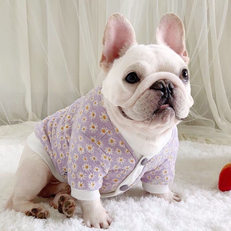 Dog Purple Floral Coat for Medium Large Dogs by Frenchiely 