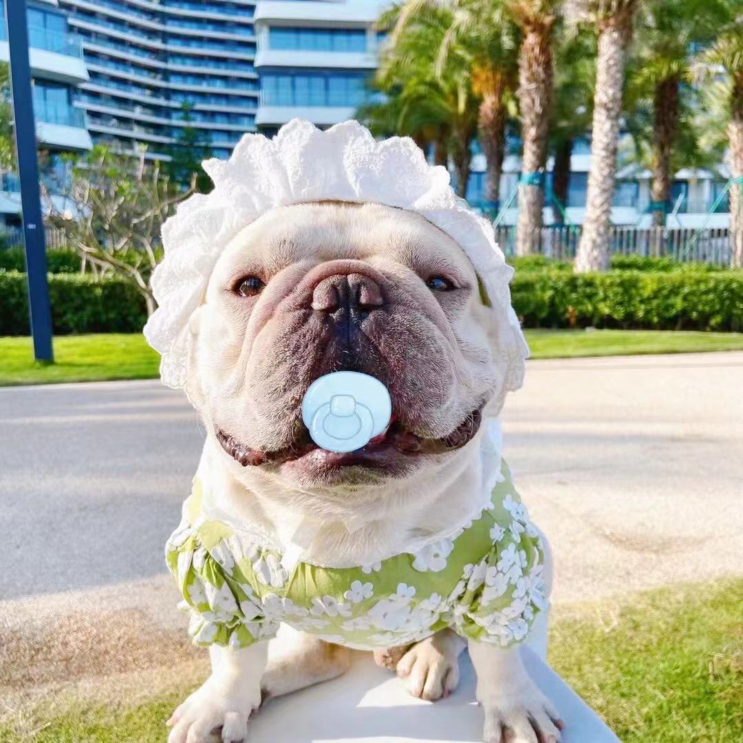 Dog Spring Summer Floral Shirt with Lace Hat- Frenchiely