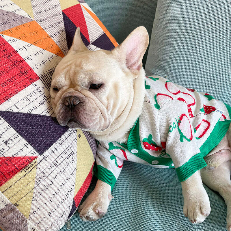 Dog Strawberry Christmas Sweater Outfits for Medium Dogs by Frenchiely 