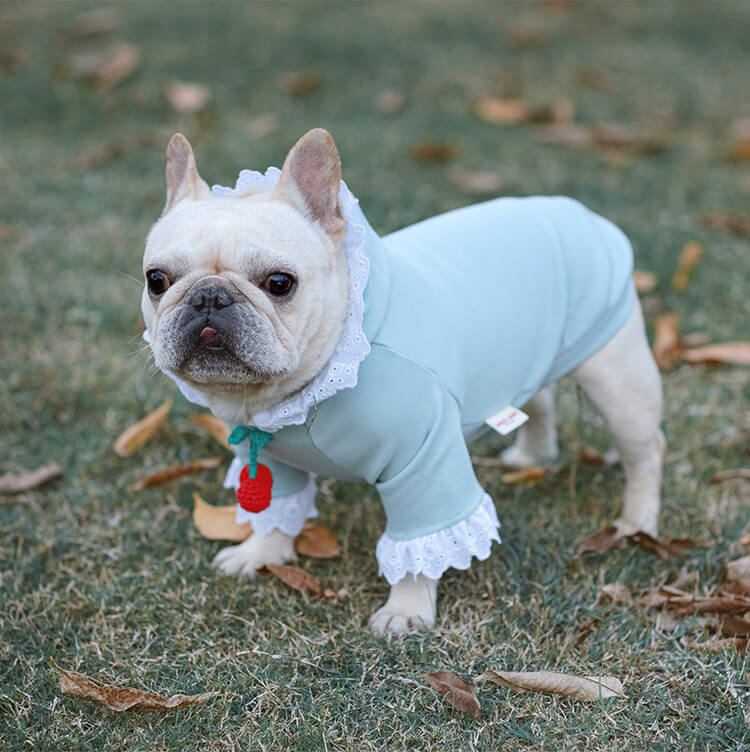 Dog Strawberry Hoodie for French Bulldogs by Frenchiely 0