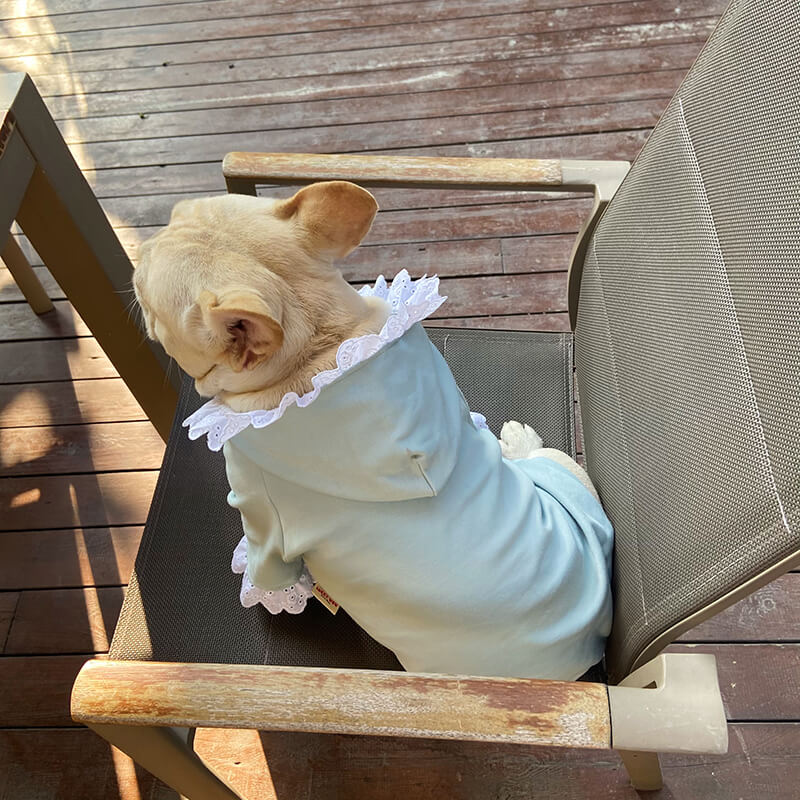 Dog Strawberry Hoodie for French Bulldogs by Frenchiely 01