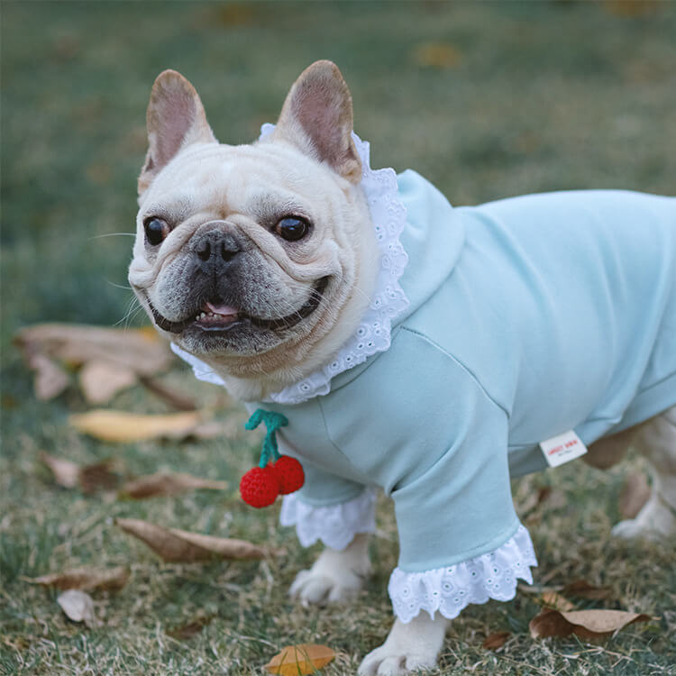 Dog Strawberry Hoodie for French Bulldogs by Frenchiely 0