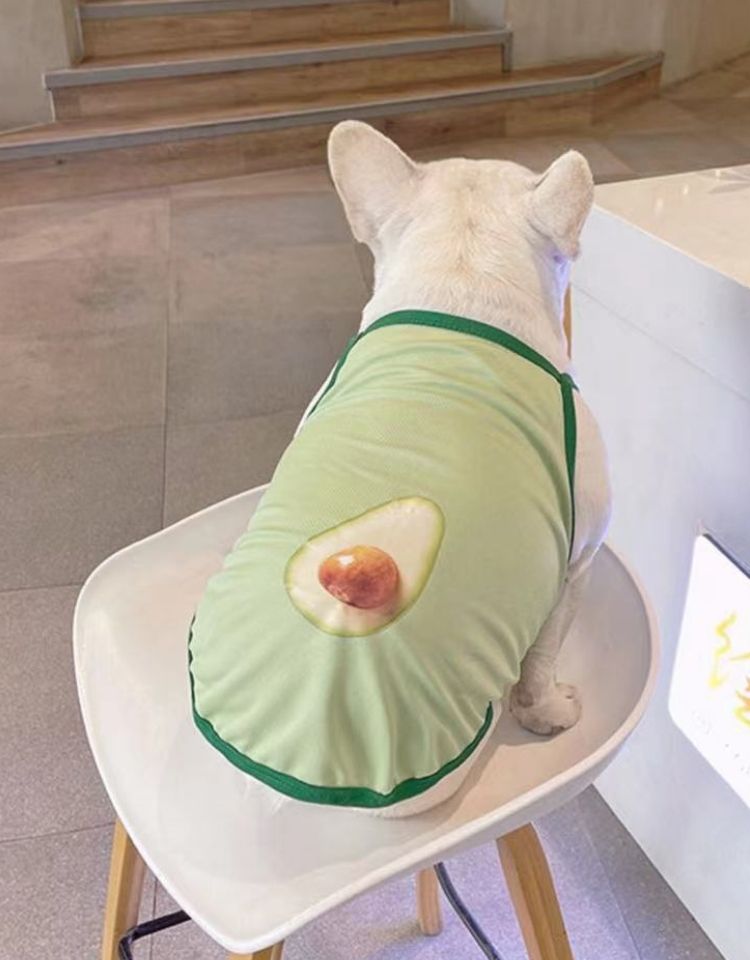 Dog Summer Mesh Avocado Shirts by Frenchiely 