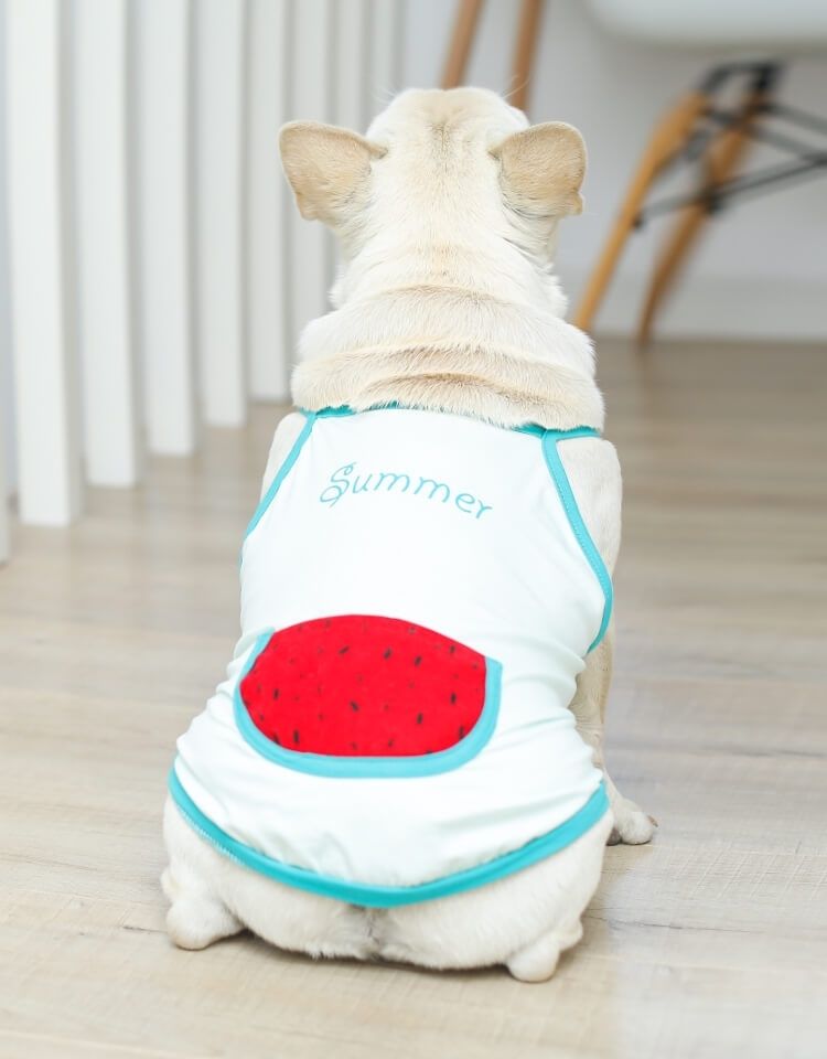 Dog Summer Cotton Shirt with Pocket - Watermelon- Frenchiely
